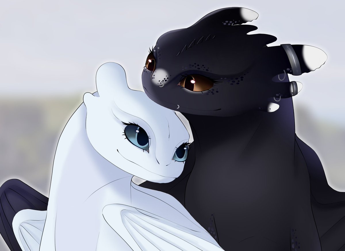 fureviia's tweet image. couple commission for my friends! 

#httyd #howtotrainyourdragon #nightfury #lightfury #dragons #dragon #commission #commissions #commissionsareopen #nightlightfury