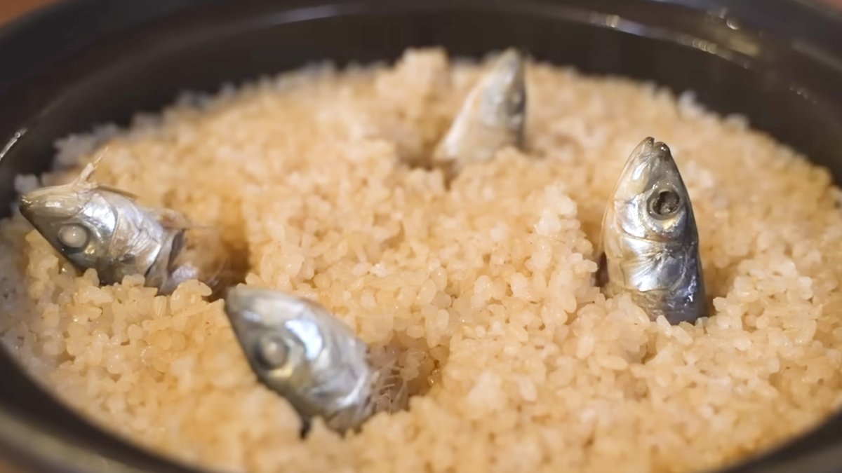 Gen~すいじば~ tweet media