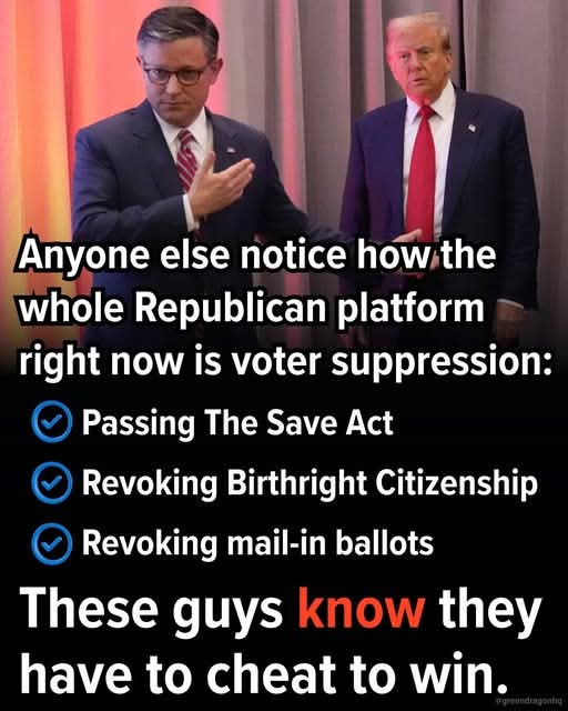 Pissed off American Voter💙💙💙🌊🌊🌊🌊 tweet media