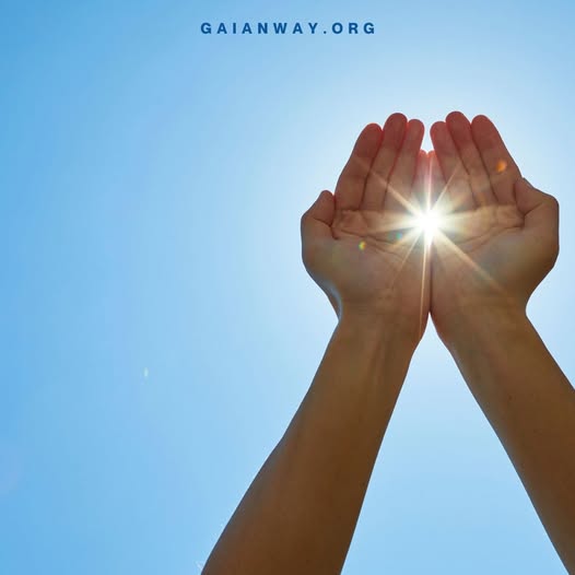 The Gaian Way tweet media