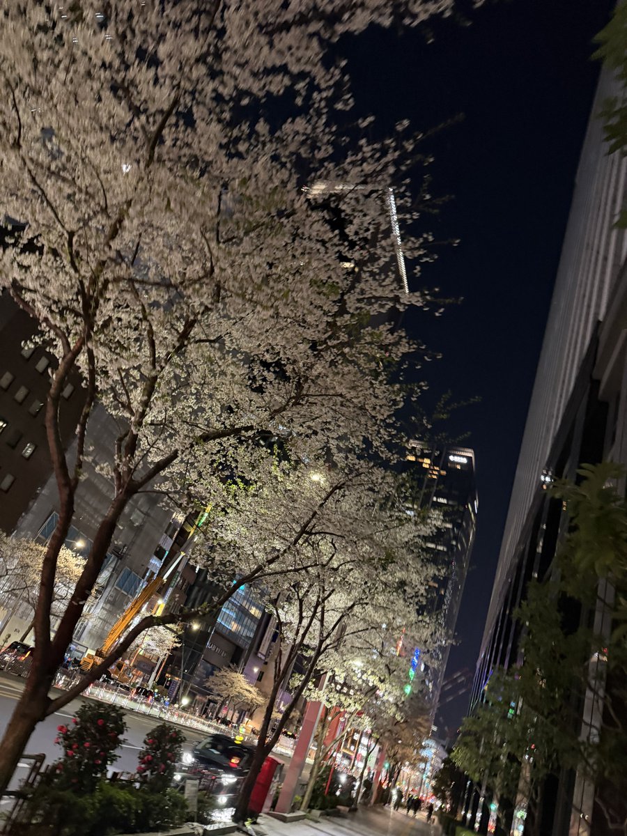 ひであ🐾 tweet media