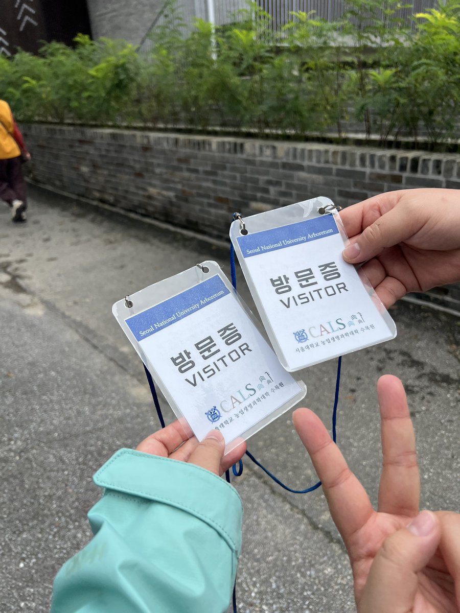 catmage_green's tweet photo. @puljigumong 이거 진짜 힘들었셔요. https://t.co/t65EA0PxRE