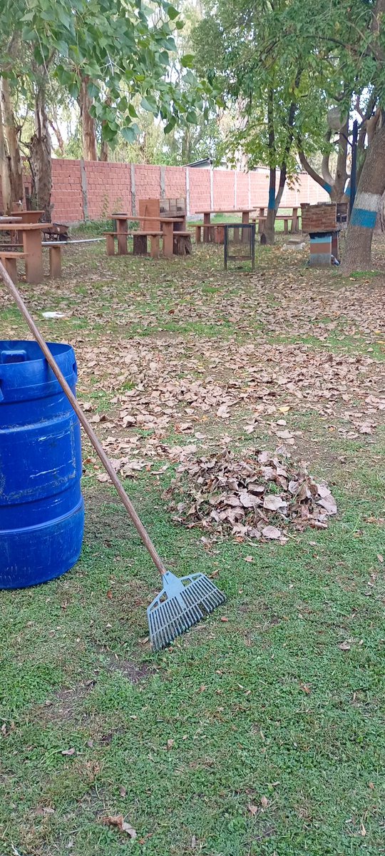 @benito2022 tweet media