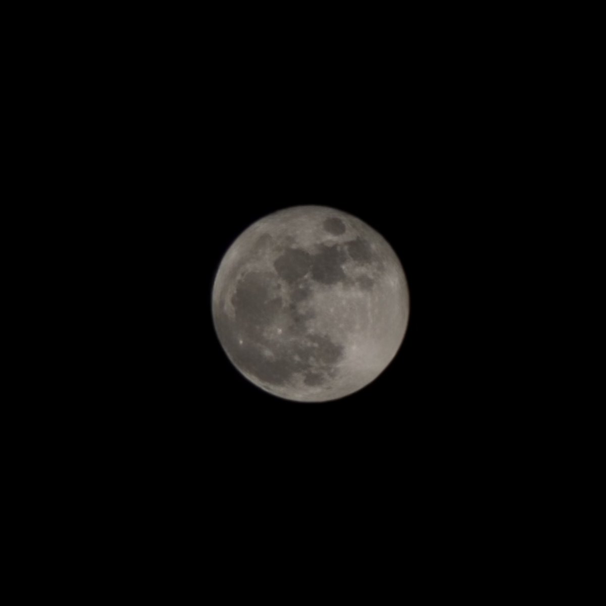 🕯인장씨🌵 tweet media