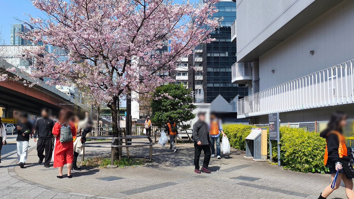 秋葉原案内所 tweet media