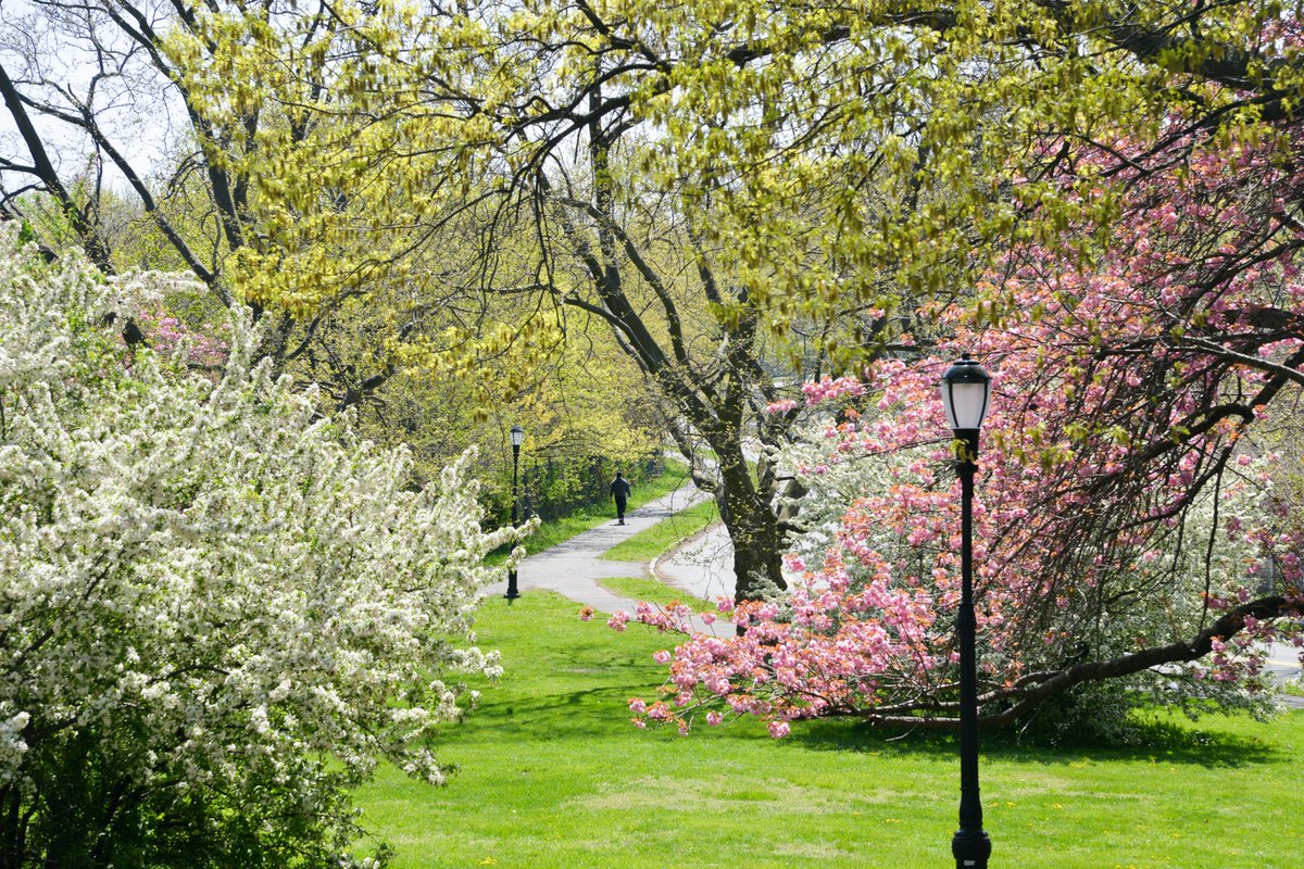 NYC Parks tweet media