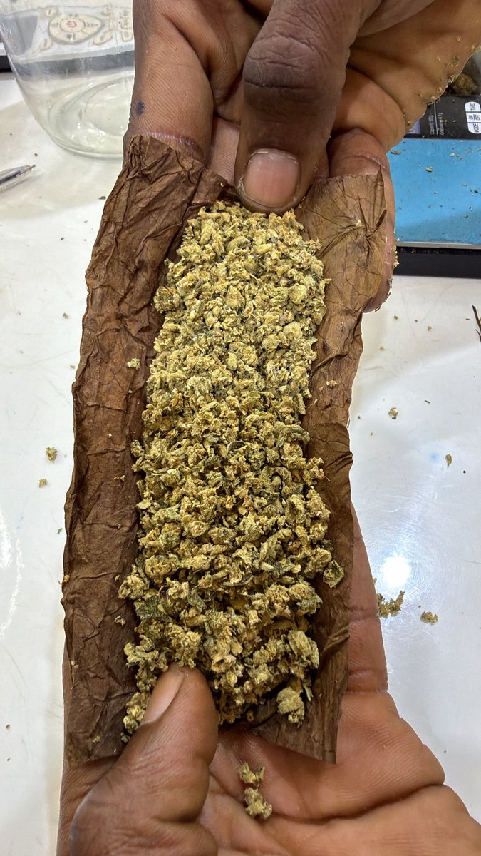 HARD BRAIN 🧠 STRAIN 🌳 tweet media