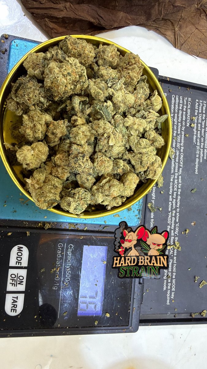 HARD BRAIN 🧠 STRAIN 🌳 tweet media
