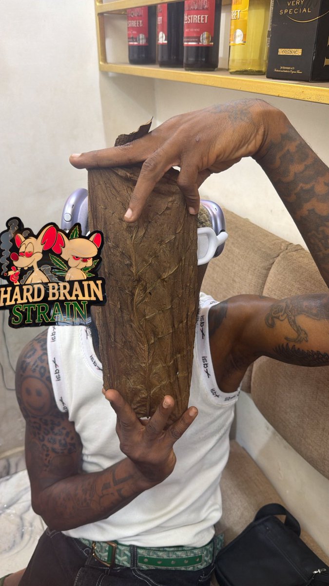 HARD BRAIN 🧠 STRAIN 🌳 tweet media