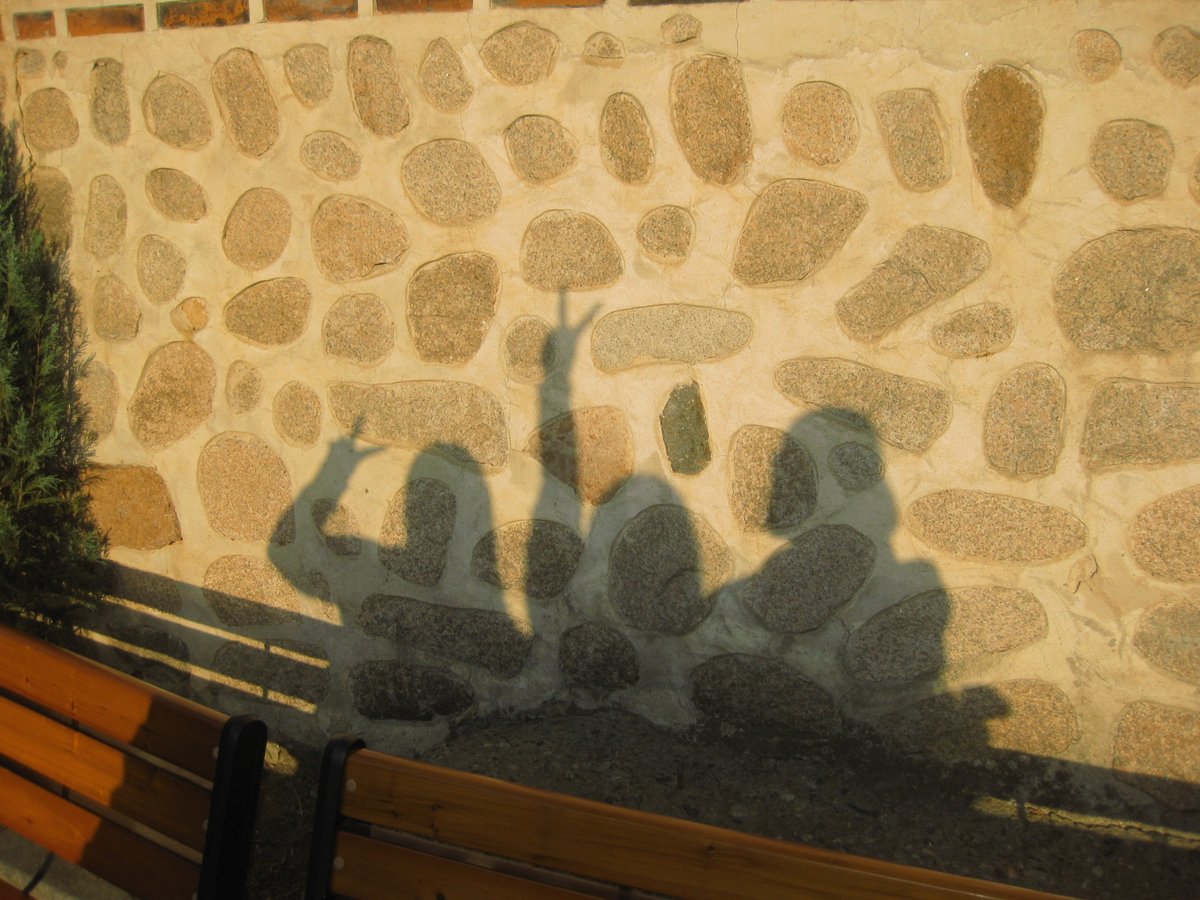 수영인부기 tweet media