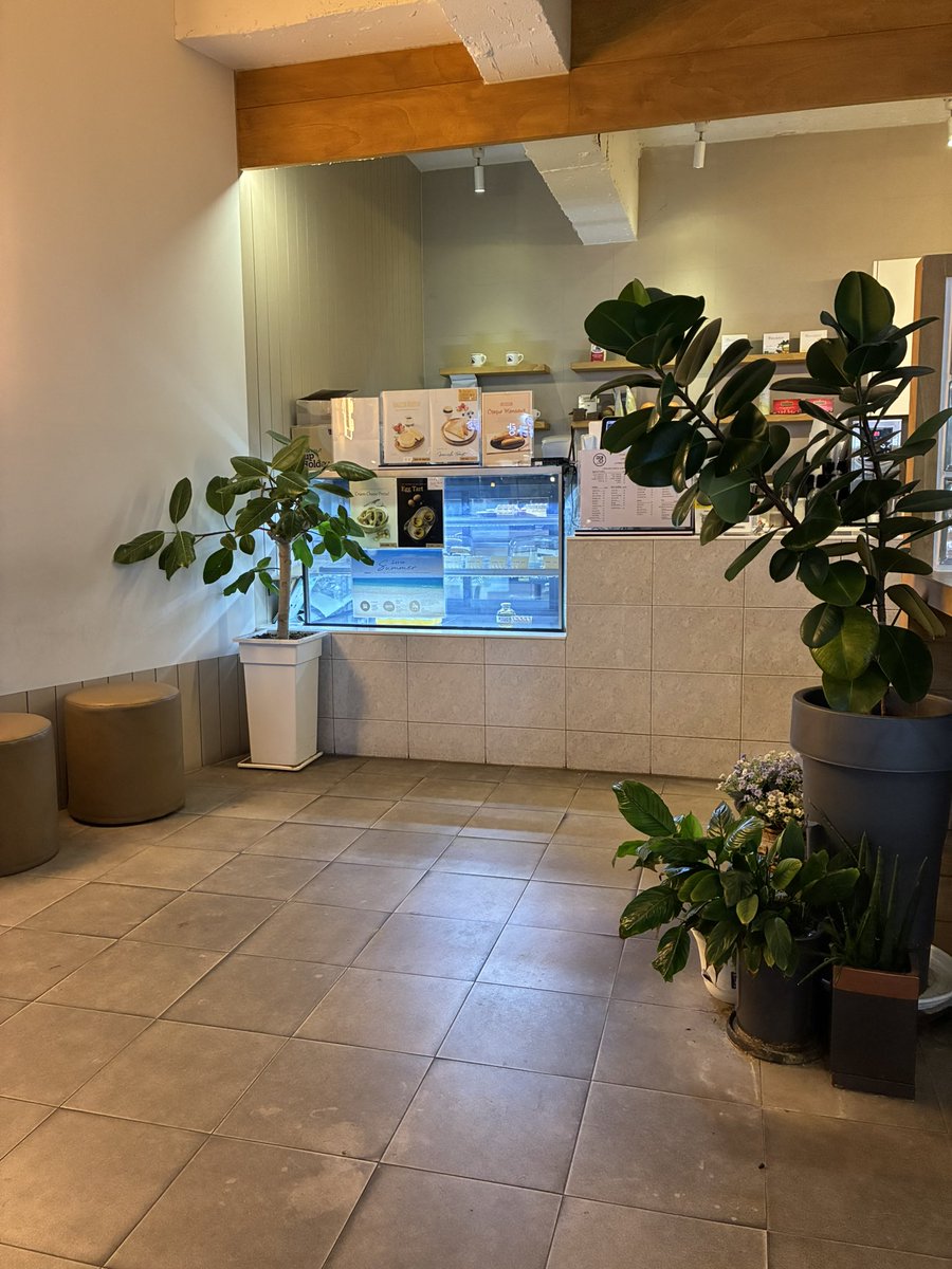 무취계정 tweet media