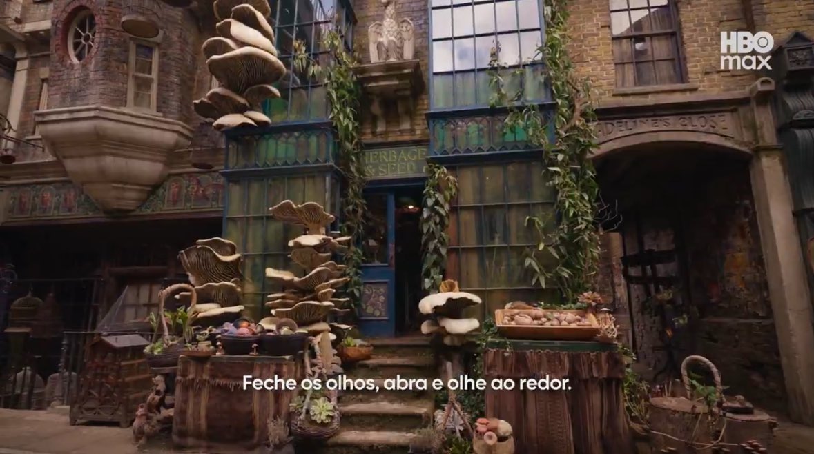 acervo harry potter tweet media