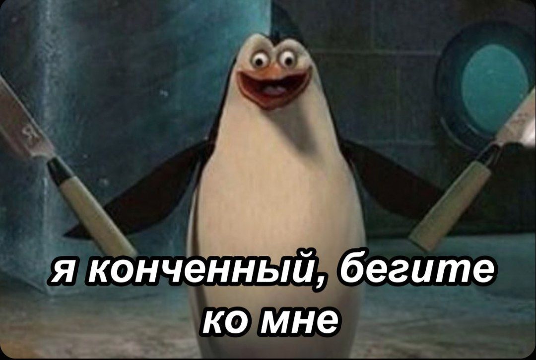 Грищ и тыща хуищ войне tweet media