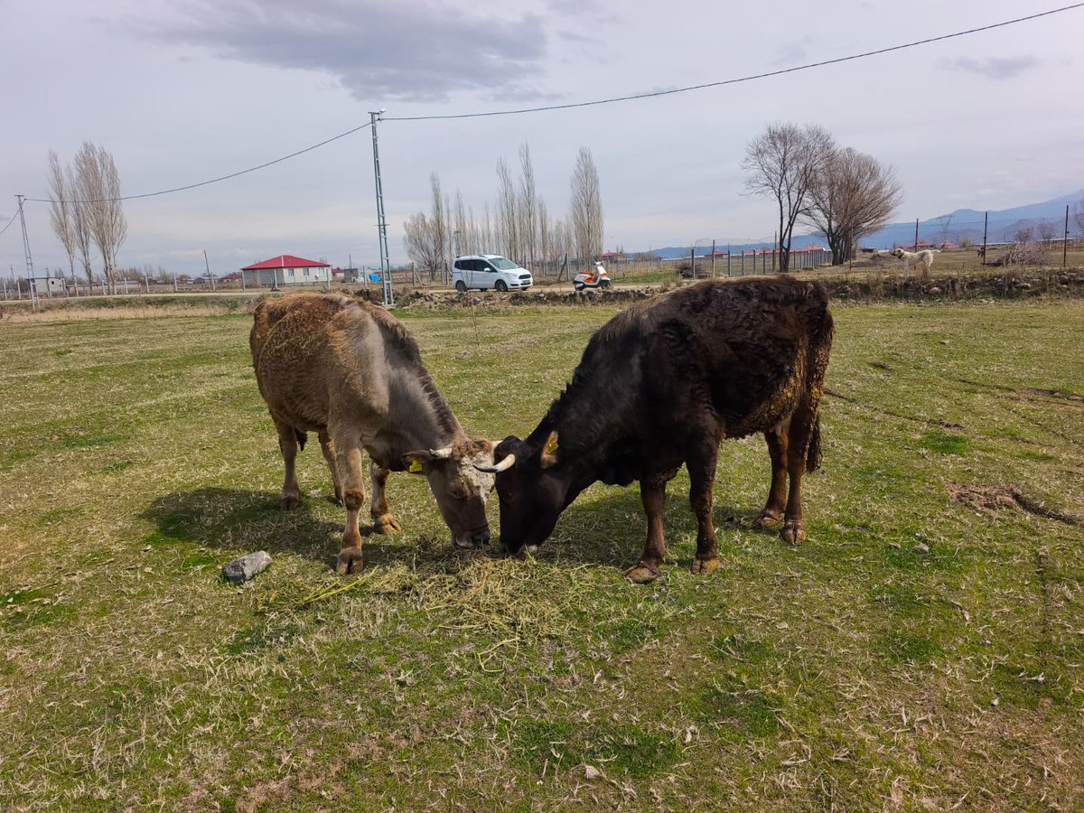 IĞDIR İL TARIM VE ORMAN MÜDÜRLÜĞÜ tweet media