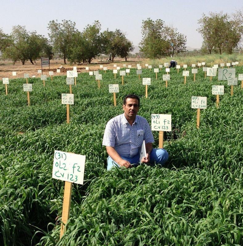 د. حمدان السمرين tweet media
