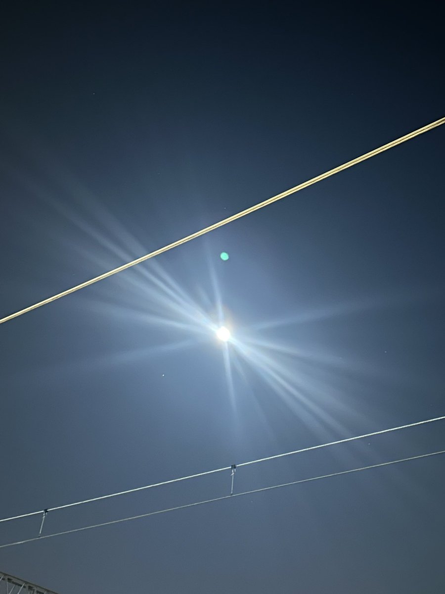 へむ． tweet media