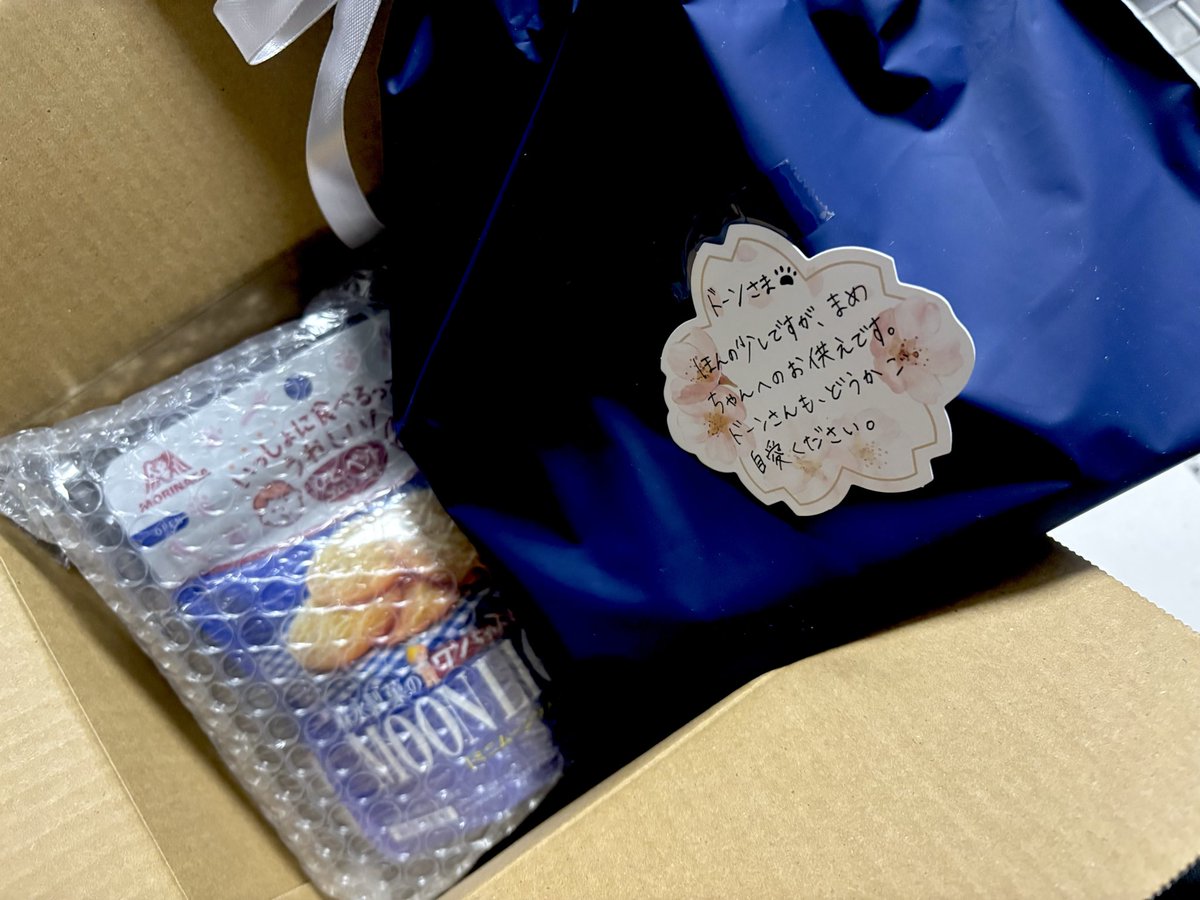 ドーン🐾 tweet media