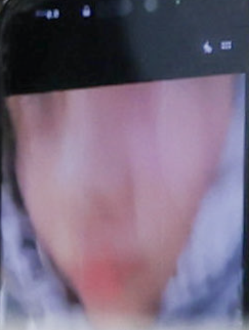 돌떡🪨🍀 tweet media