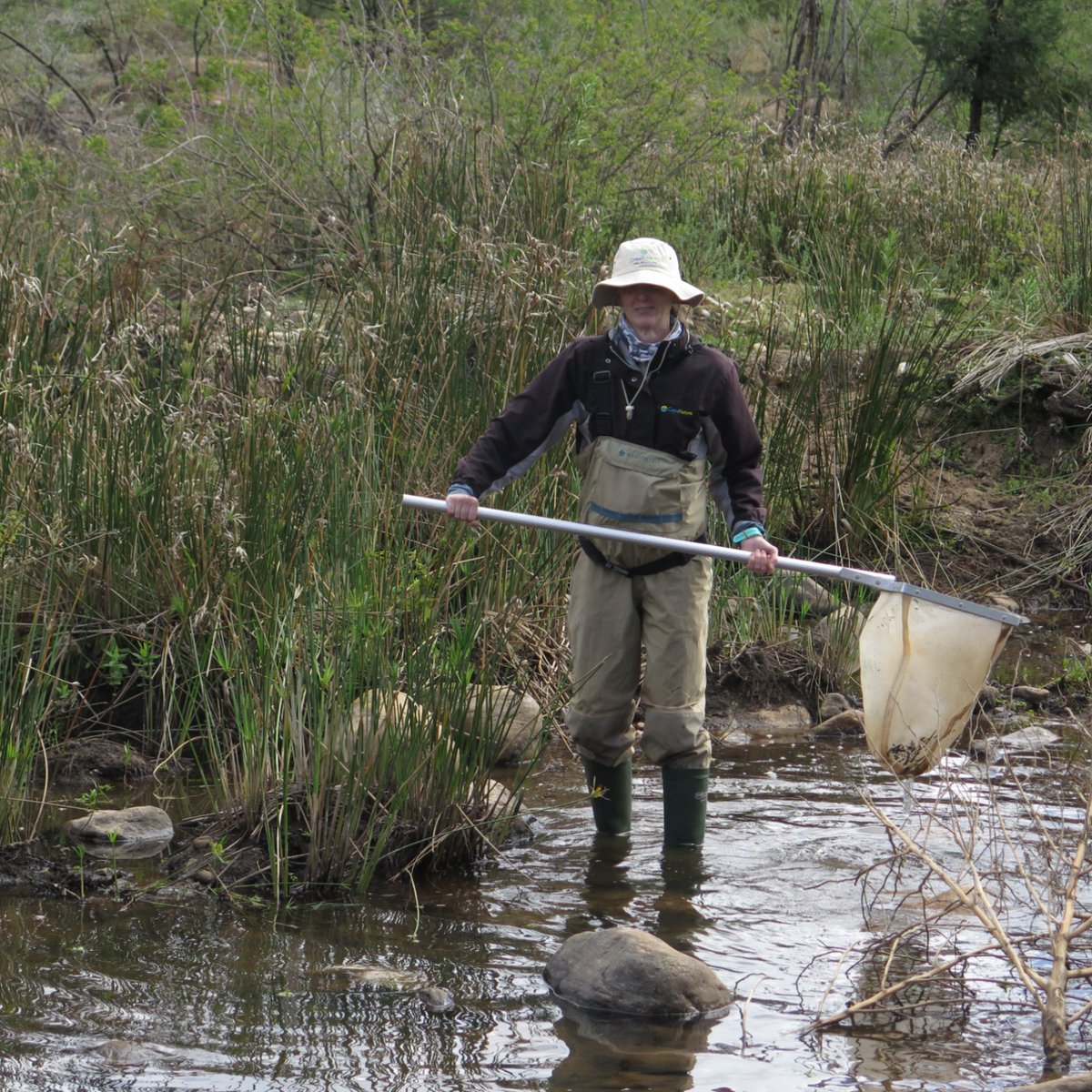 CapeNature1's tweet image. CapeNature is proud to celebrate a major milestone in freshwater conservation. Our freshwater ecologist, Jeanne Gouws received her South African Scoring System (SASS) accreditation as an accreditor.

Read more: zurl.co/bcLum 

#CapeNature #SASS #Biomonitoring