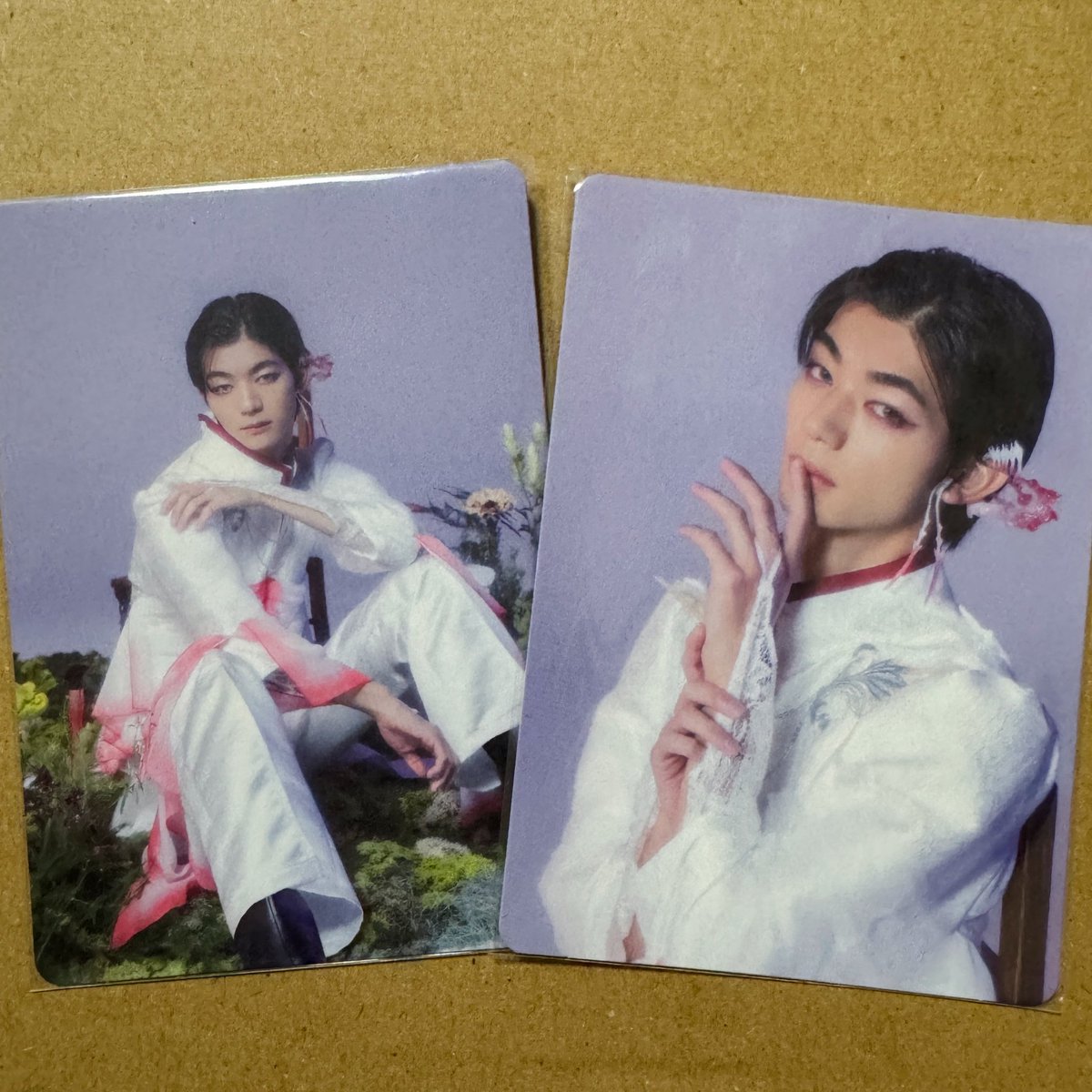 ⸝⋆⸝⋆ tweet media