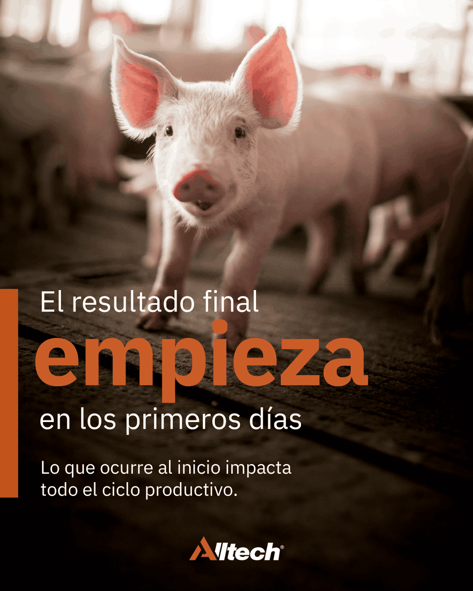 Alltech Latinomérica tweet media