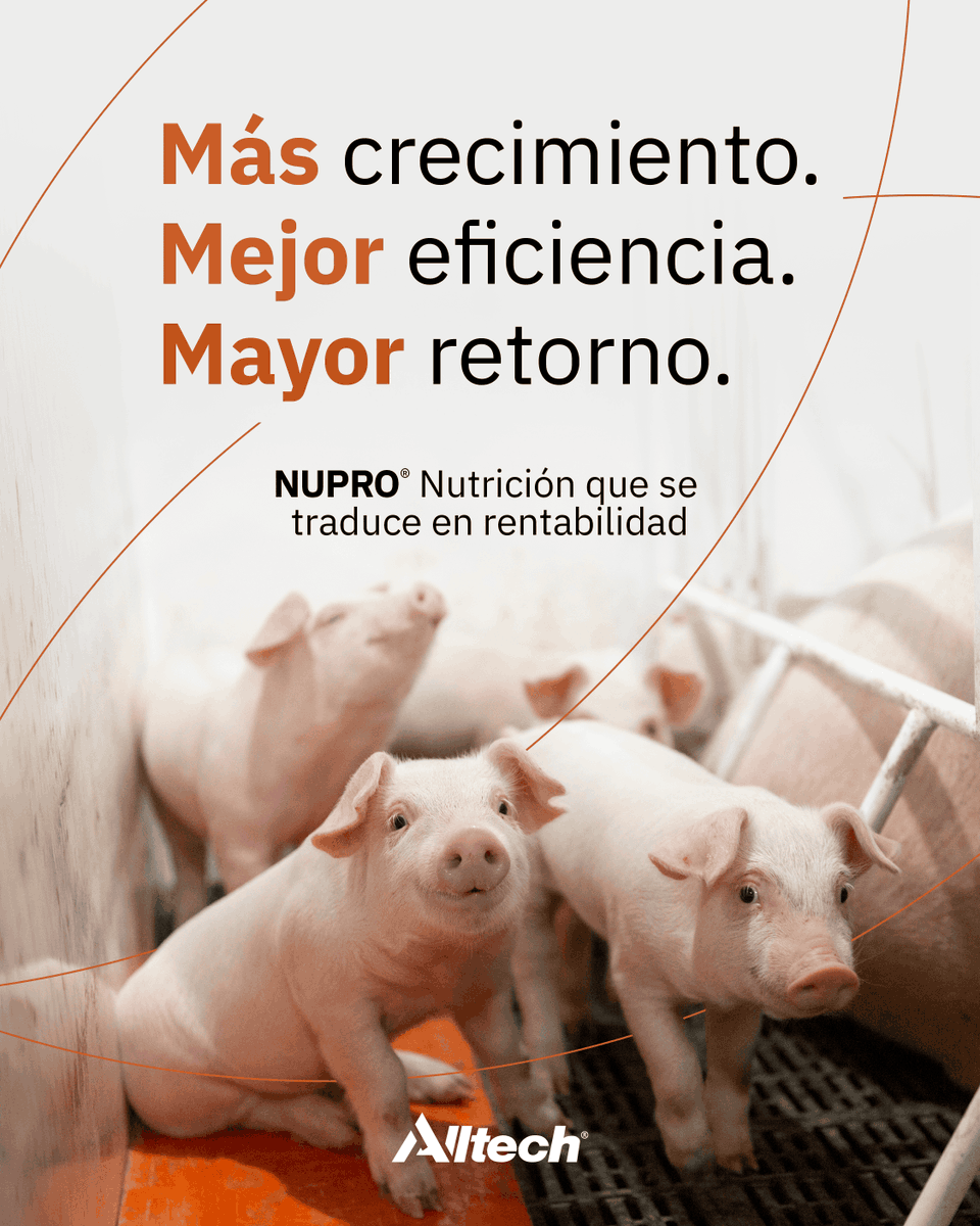 Alltech Latinomérica tweet media