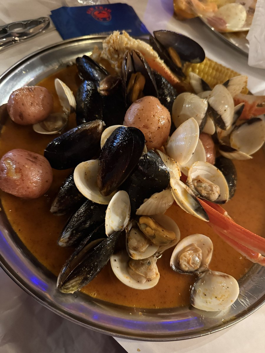 𝕎𝕌𝔹 𝕎𝕌𝔹 𝕊𝕌𝔹【=◈︿◈=】 tweet media