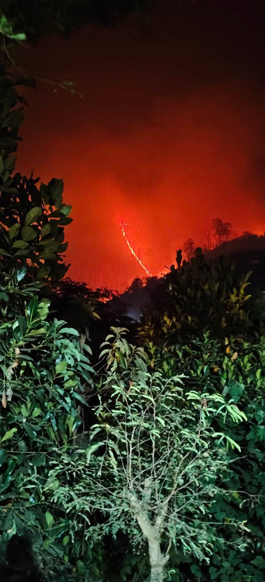 จุ้งเทมปุระเหนื่อยๆ tweet media