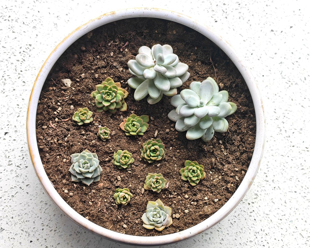 Across Inner Mongolia tweet media