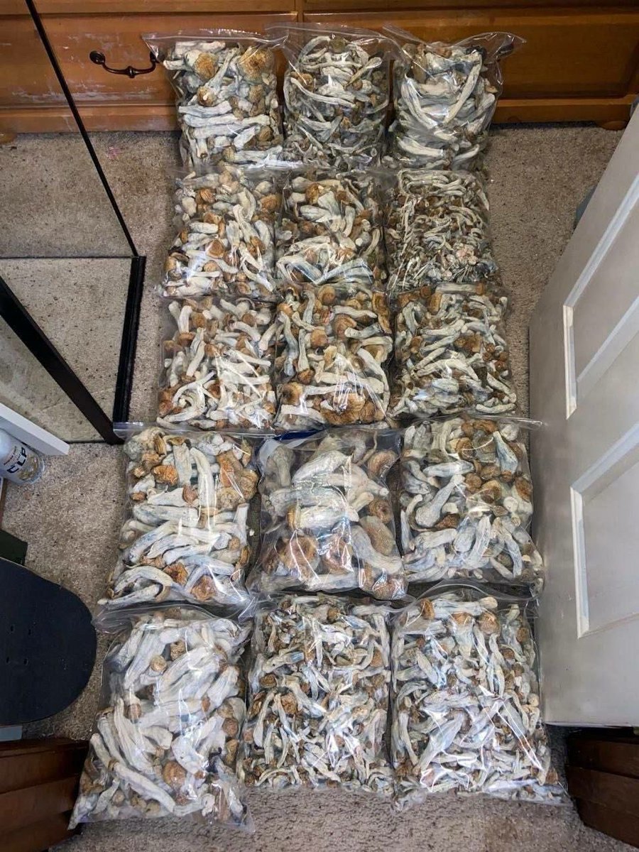 TherapistM3's tweet photo. 🍄🍄🍄 What do you see when you look at this bag?
[A] A trip through the cosmos 🚀
[B] Pure focus and creativity 💡
[C] A master grower's work 🌱
[D] My next order 📩 📲📲

#Art #QualityOverQuantity #DMforDeals #drugtwt https://t.co/KSSA6WKWST