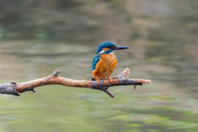 Kelly Berg tweet media