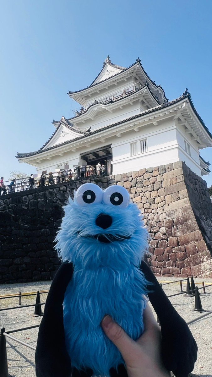 ド・レ・ミ・ふわぁ～🎹 tweet media