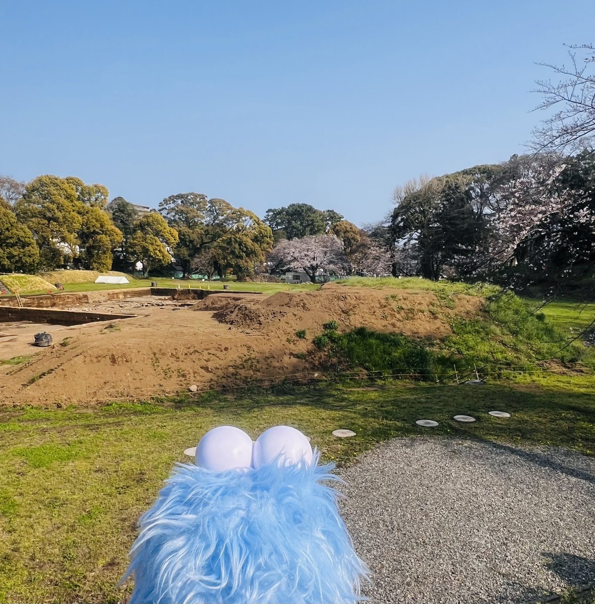 ド・レ・ミ・ふわぁ～🎹 tweet media