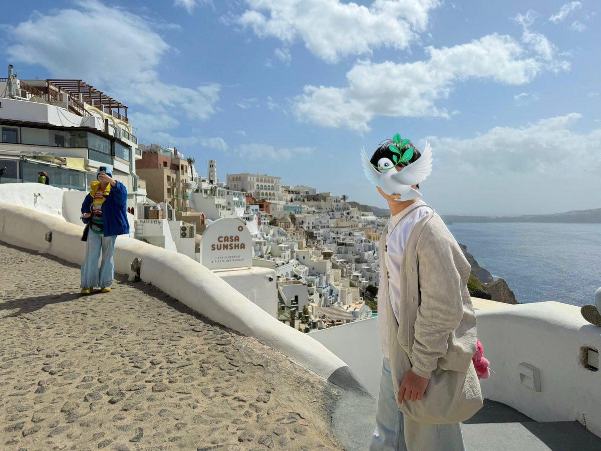 sekonao's tweet photo. 今日のサントリーニは思い描いてた通りの美しい青と白の世界だった。
猫は想像以上に無防備だった。 https://t.co/aM42YpNG12