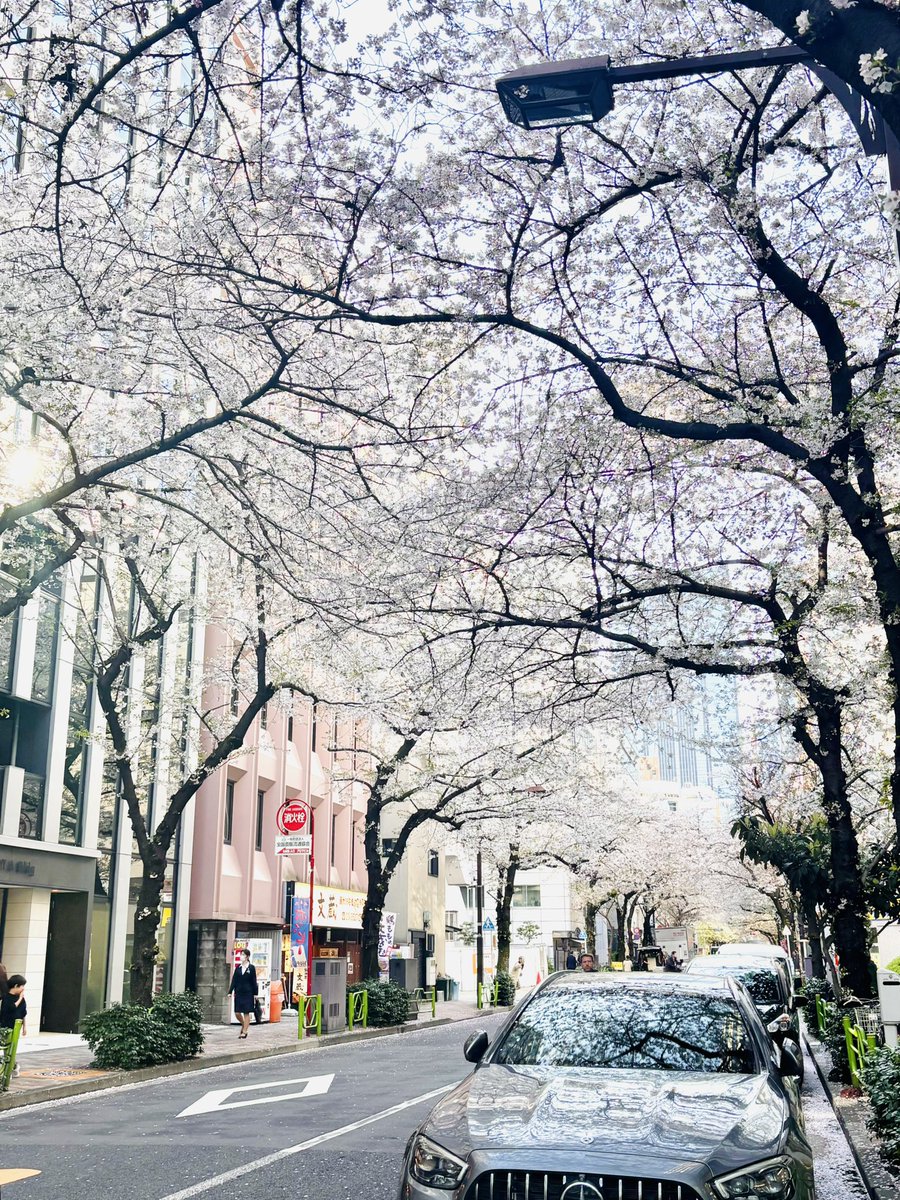 小河少年 Kawa tweet media