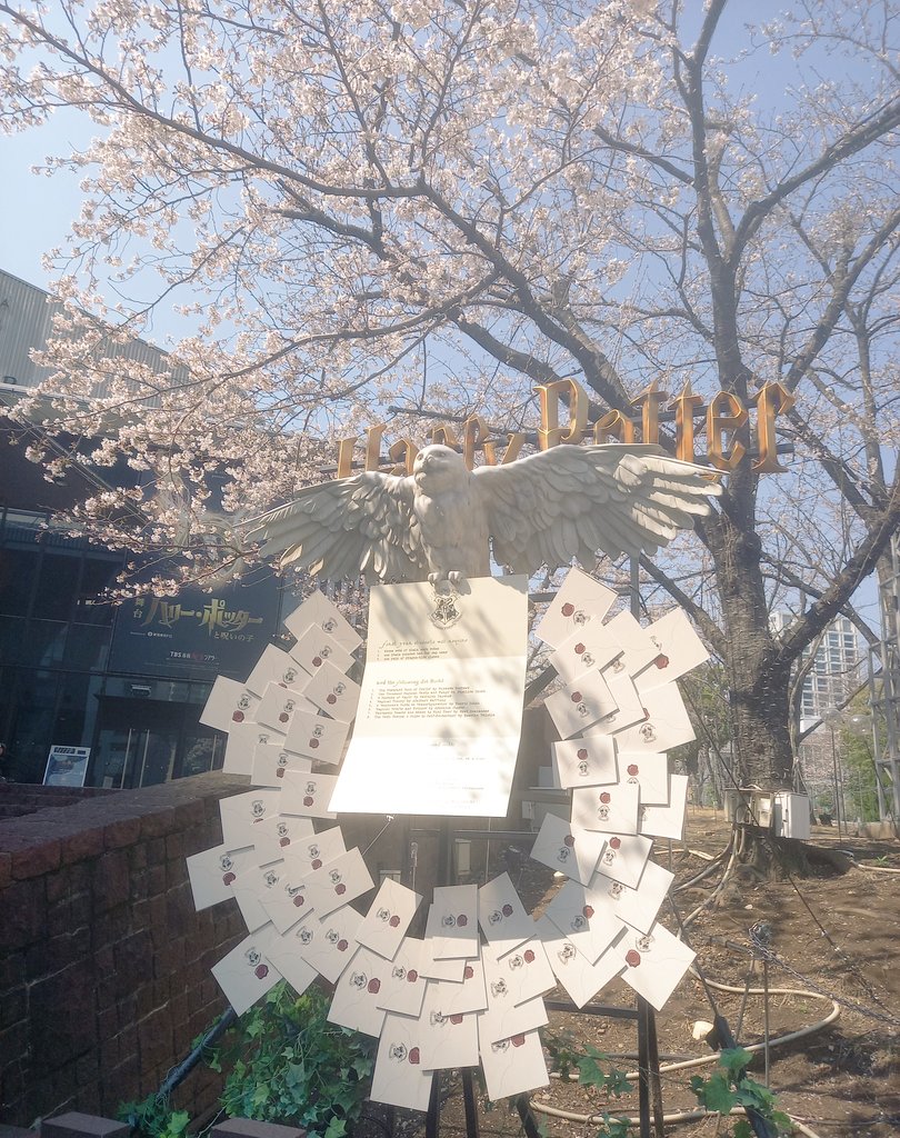 ゆー tweet media