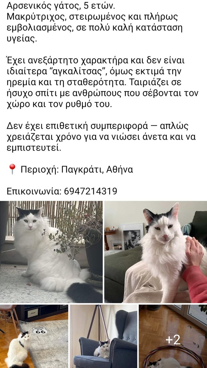 Χλε_Μπονα Σαμερ tweet media