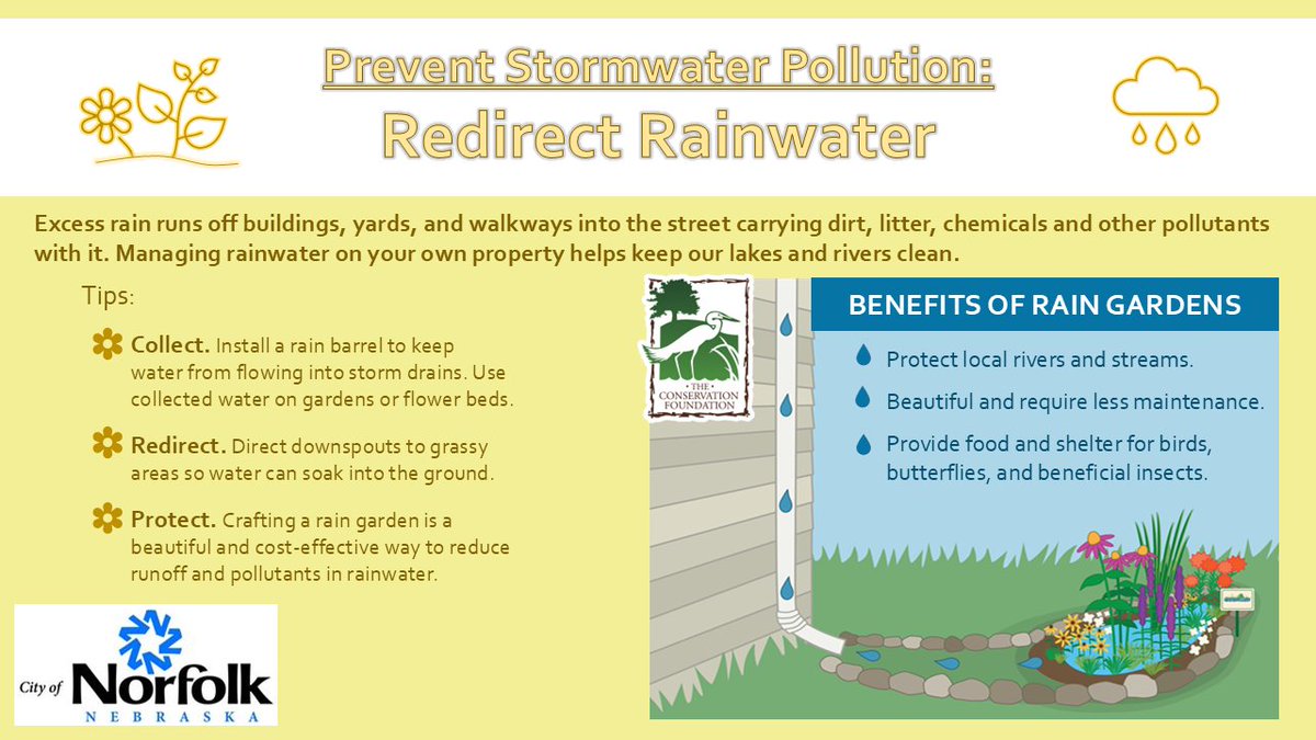 City of Norfolk, NE tweet media