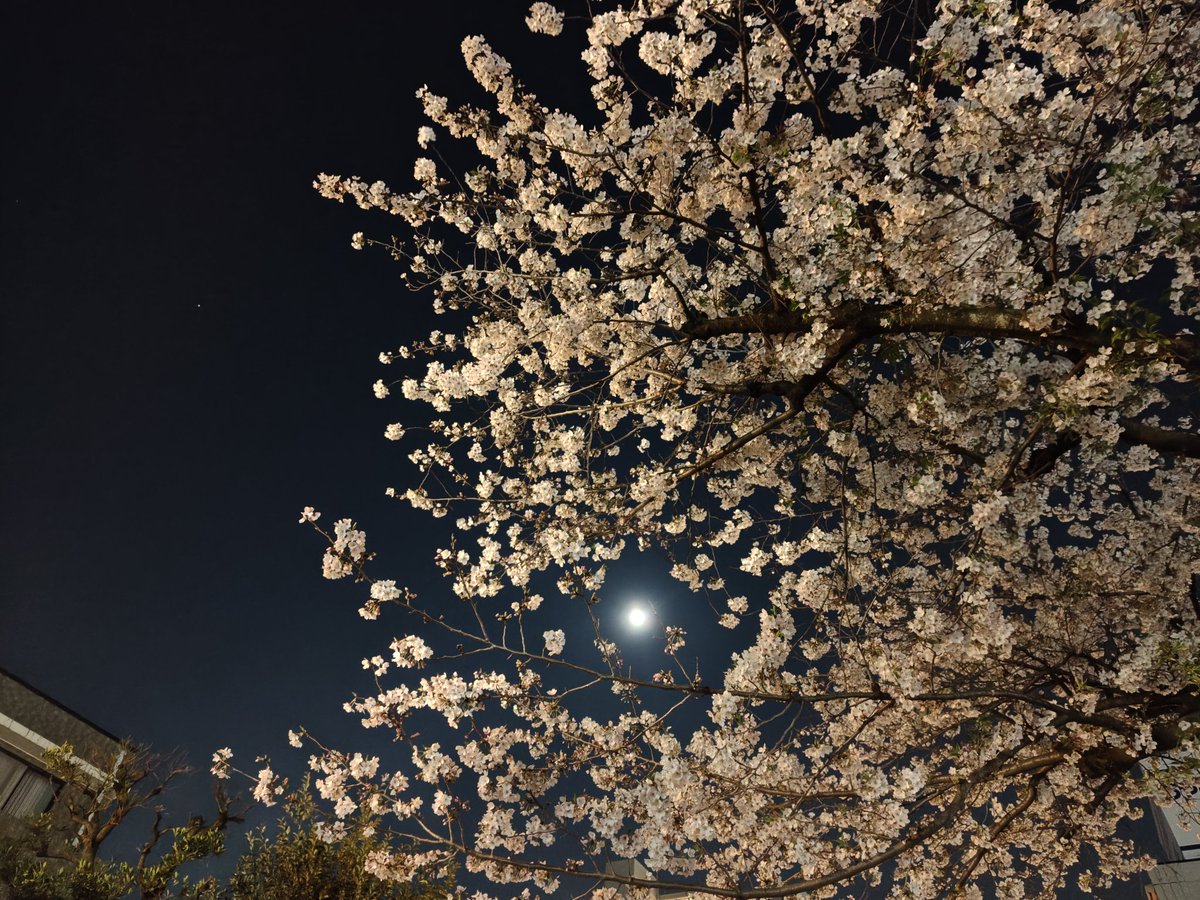 ながともユウ⇄永友優🐾 tweet media