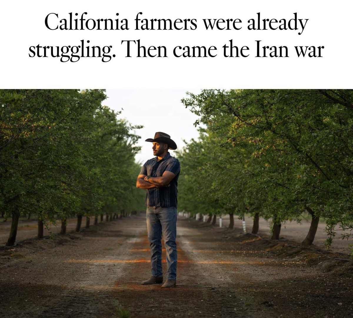 Adam Schiff tweet media