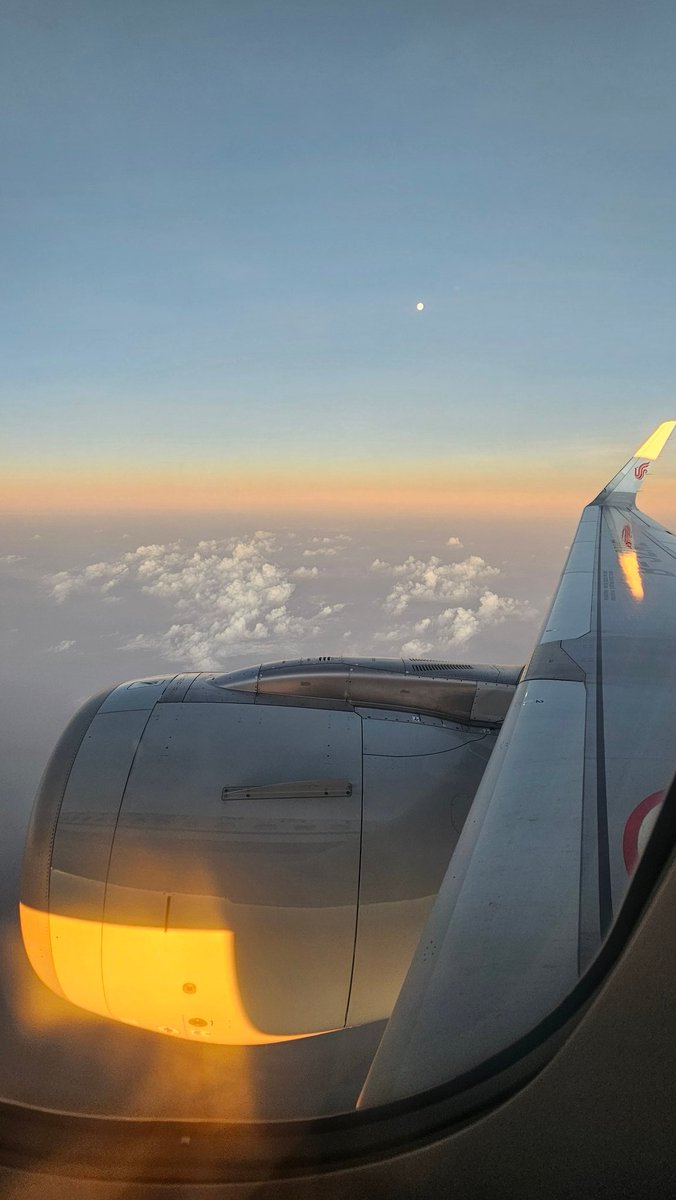 iamnotlexyu tweet media