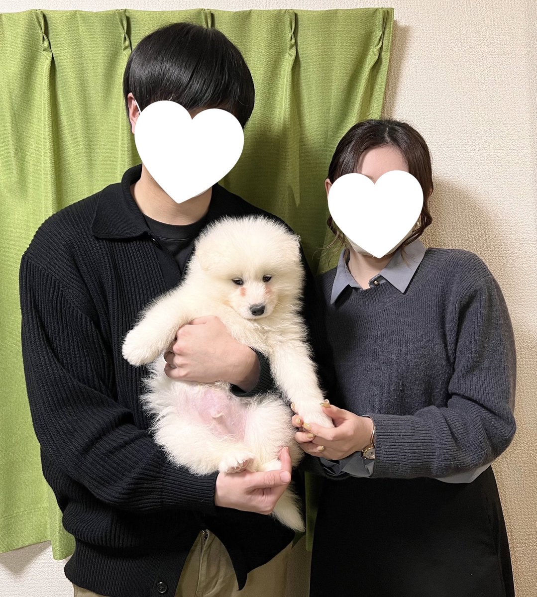 THE DAZS ダッツファミリーCh. tweet media