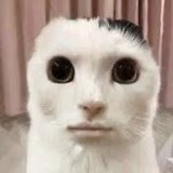 Pikeozi's tweet photo. 明日の予定 https://t.co/hctE2fw2jX