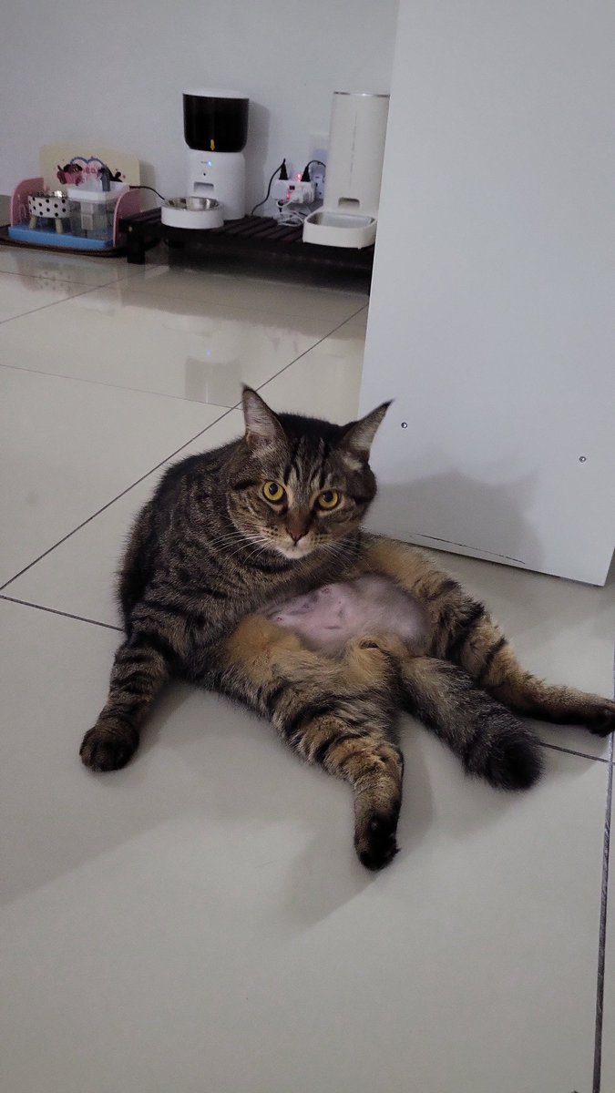 HermioneJG🦄 tweet media