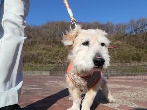 Resani Gabriel tweet media