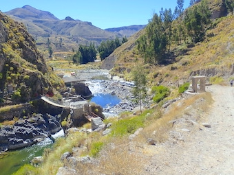 Marsha Mildon🇨🇦🌈Award winning author No DMS tweet media