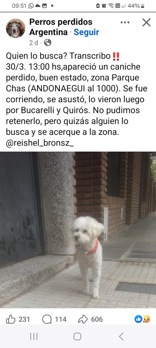 Victoria Romero Cogorno tweet media