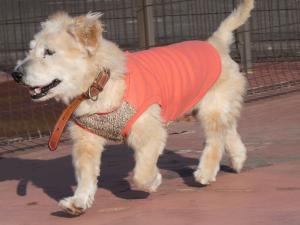 Resani Gabriel tweet media