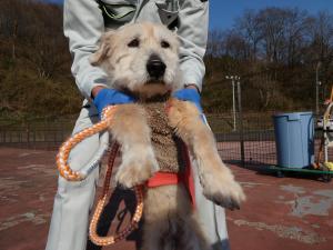 Resani Gabriel tweet media