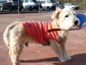 Resani Gabriel tweet media